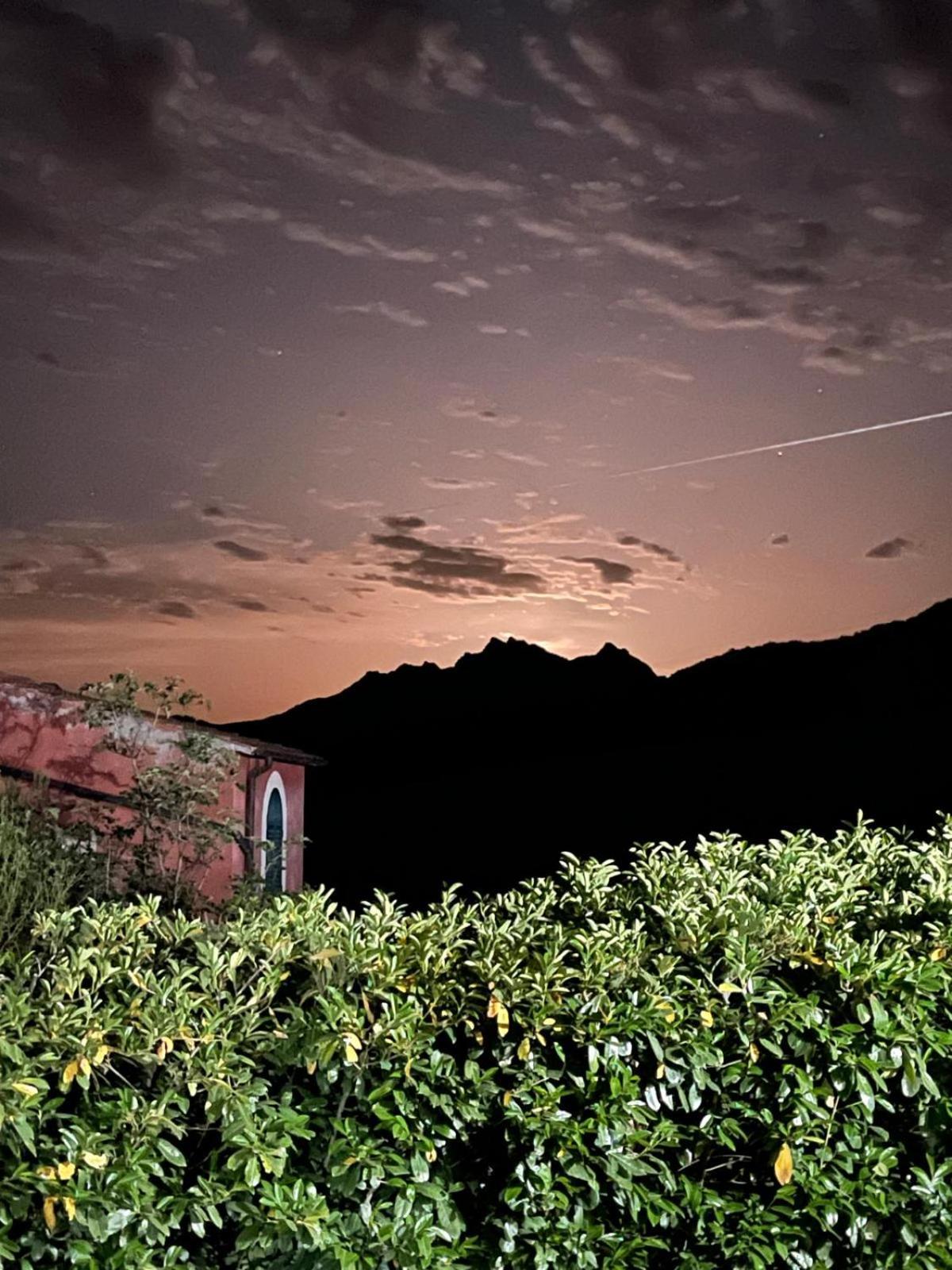 Il Gelso Guest House Trivigno ภายนอก รูปภาพ